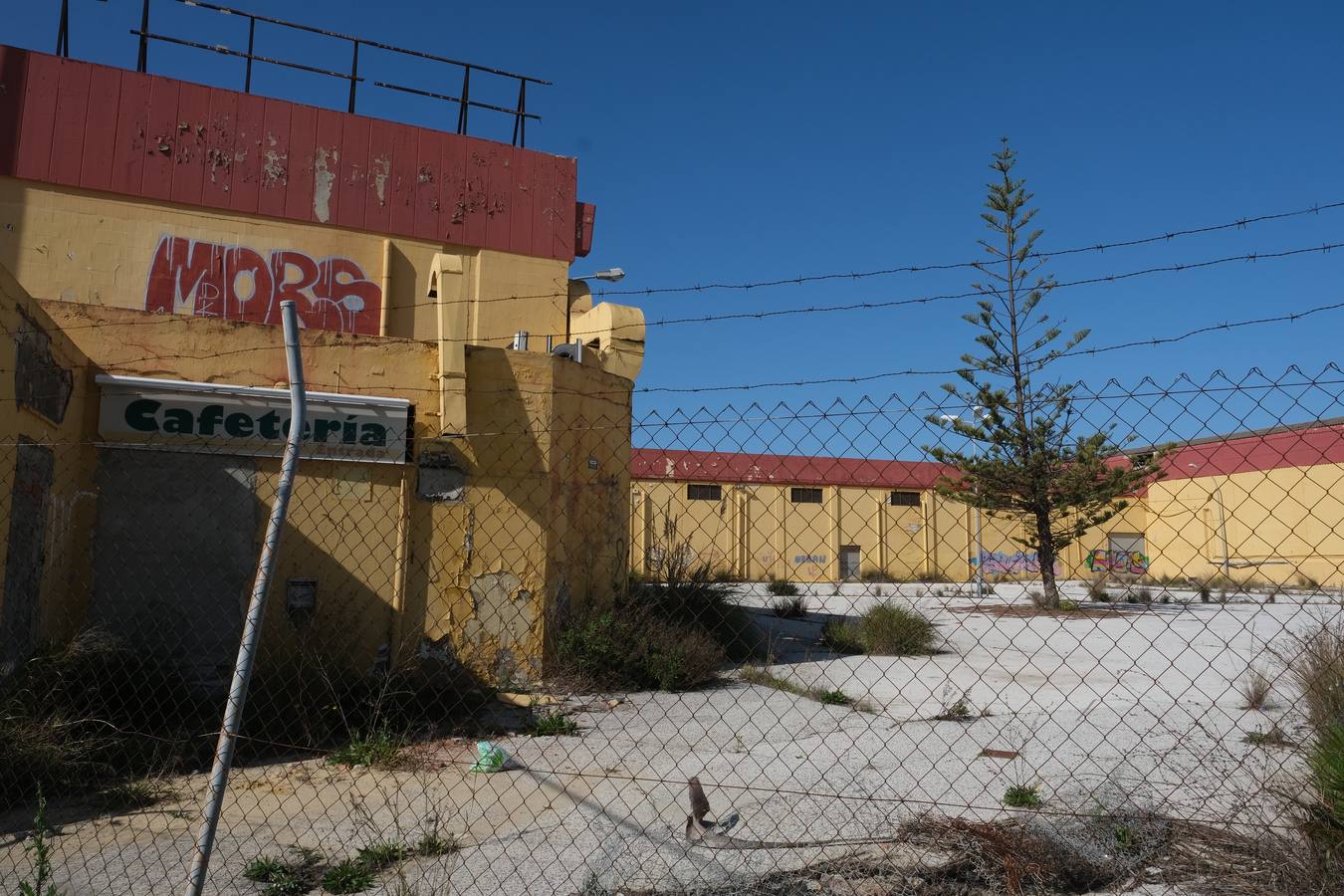 FOTOS: Okupas y gamberros vuelven a las naves abandonadas del recinto exterior de la Zona Franca en Cádiz