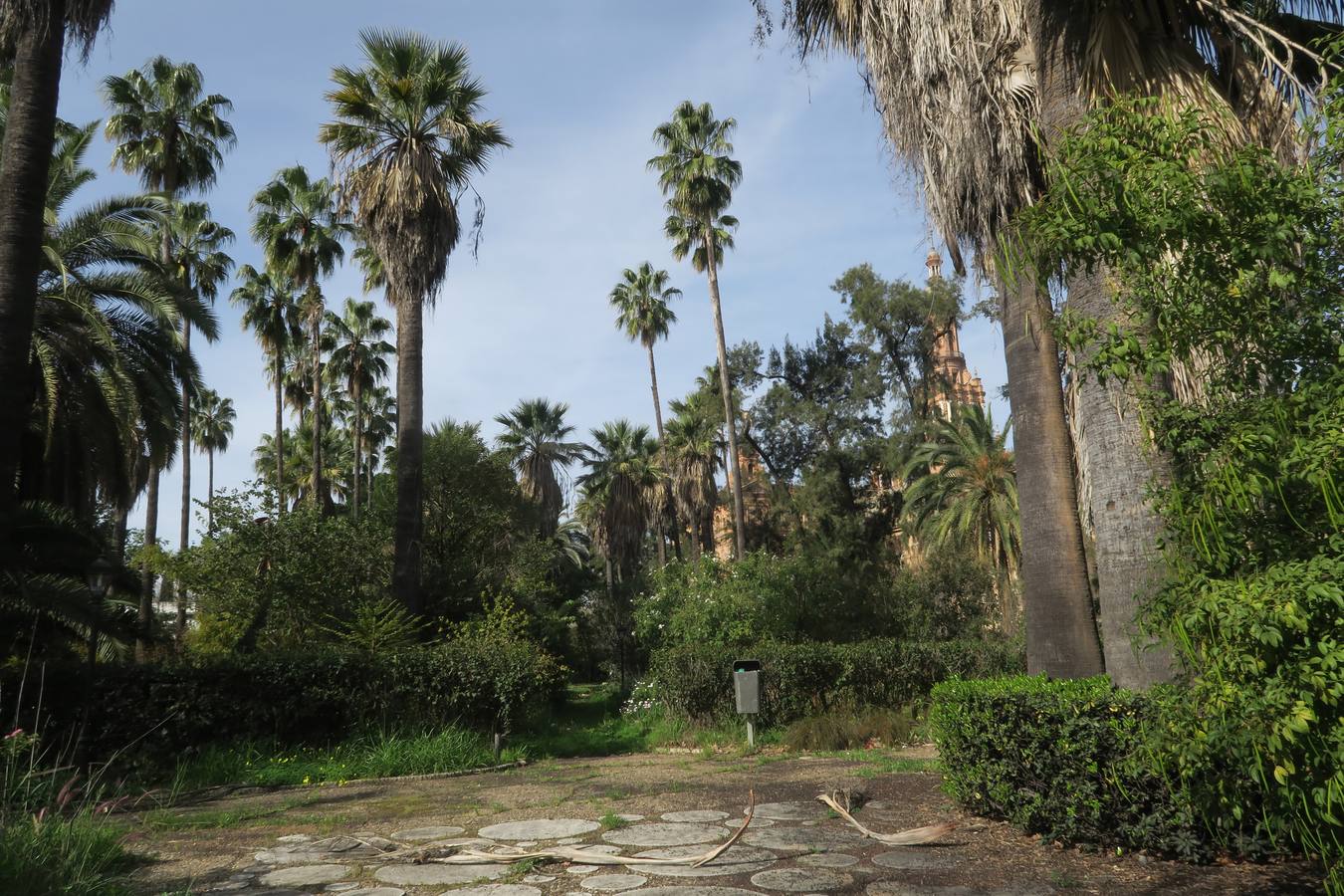 El abandono de parques y zonas verdes de Sevilla