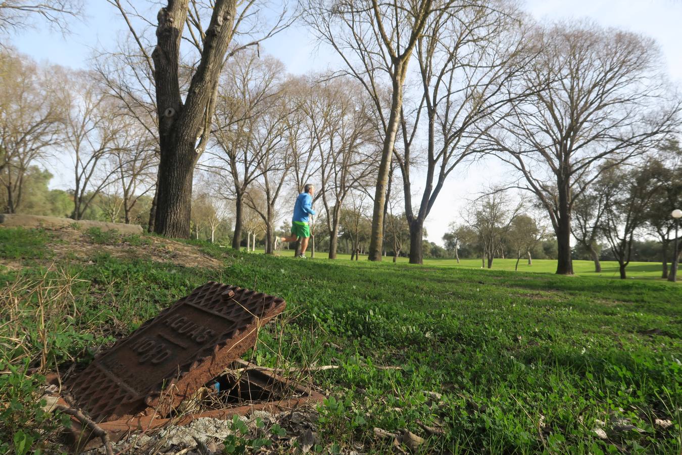 El abandono de parques y zonas verdes de Sevilla