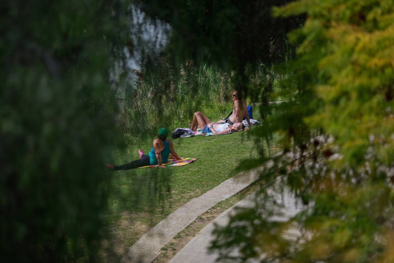 En imágenes, Sevilla registra temperaturas primaverales