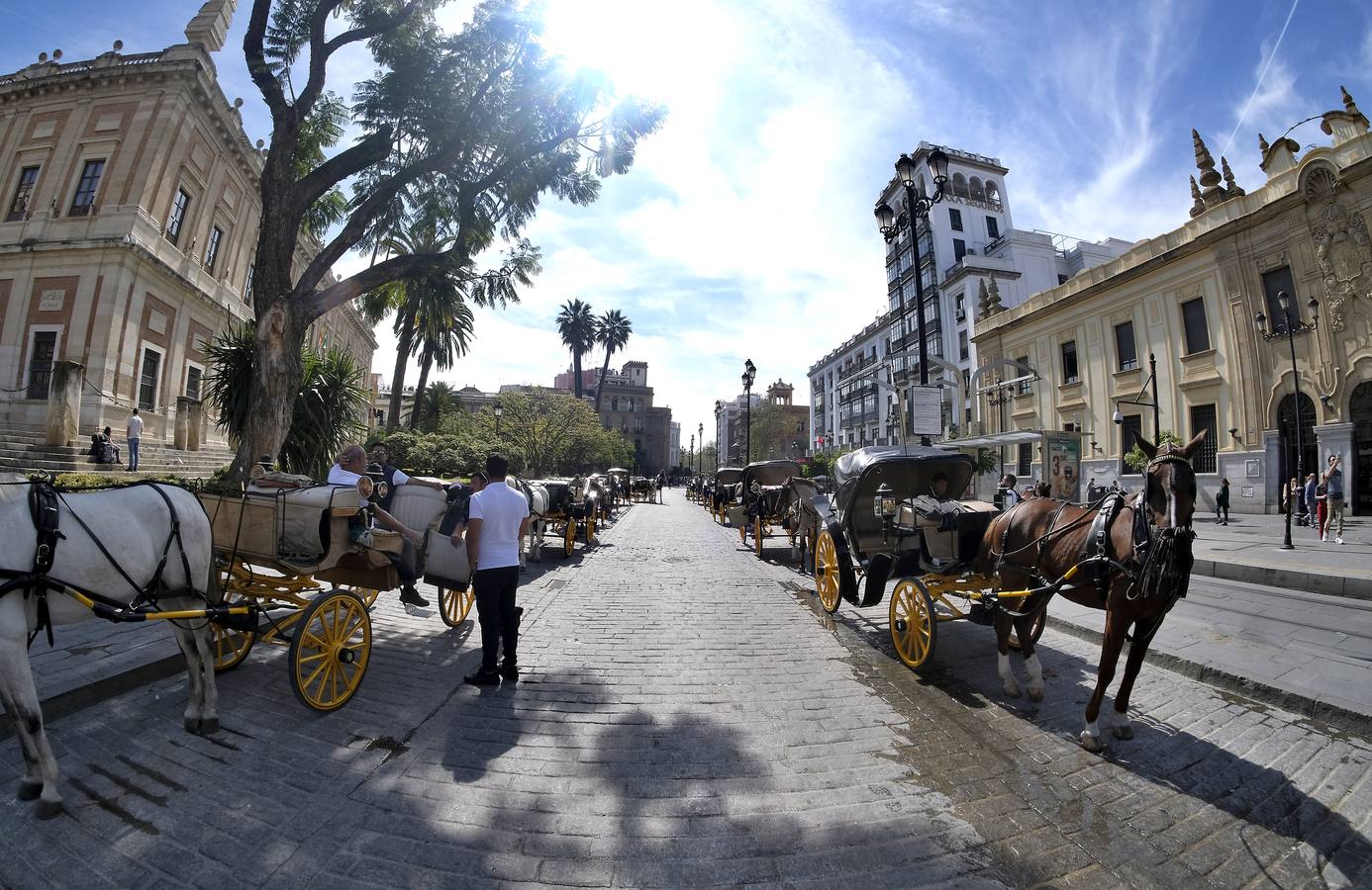 El coronavirus vacía los monumentos de Sevilla