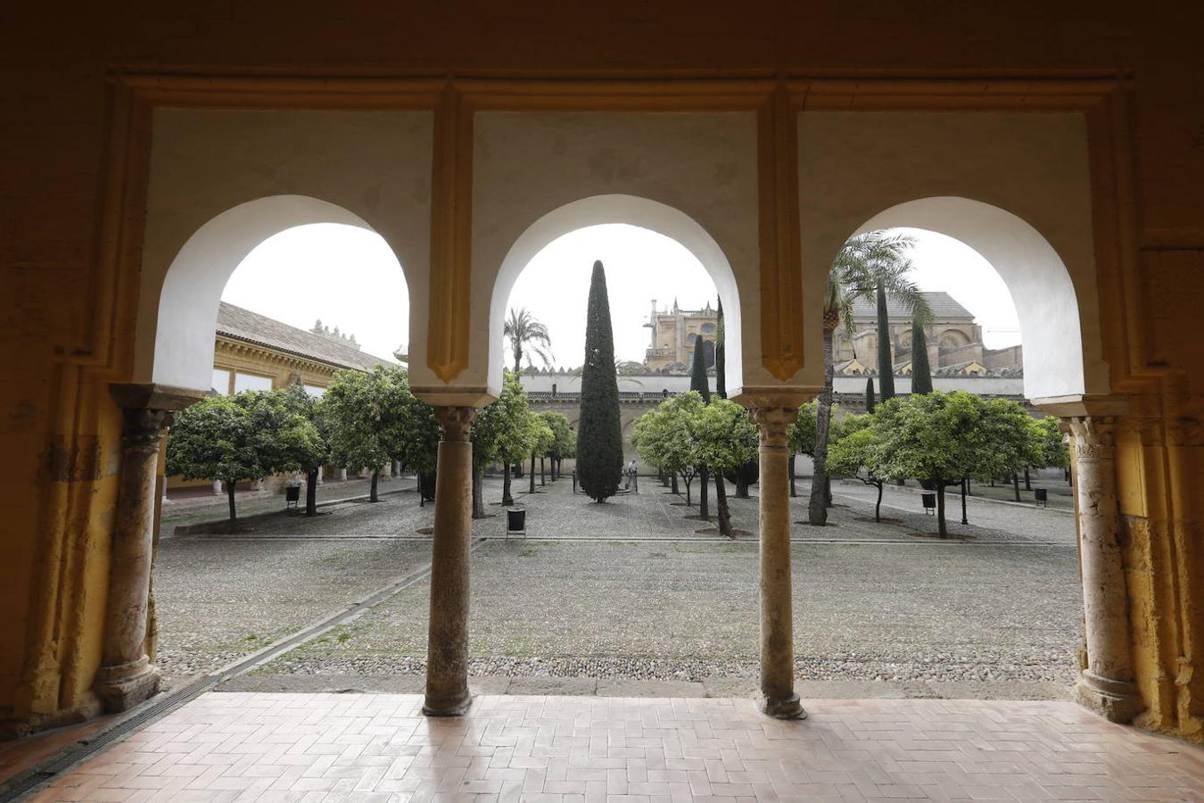 El ambiente en la Mezquita-Catedral de Córdoba hoy, en imágenes