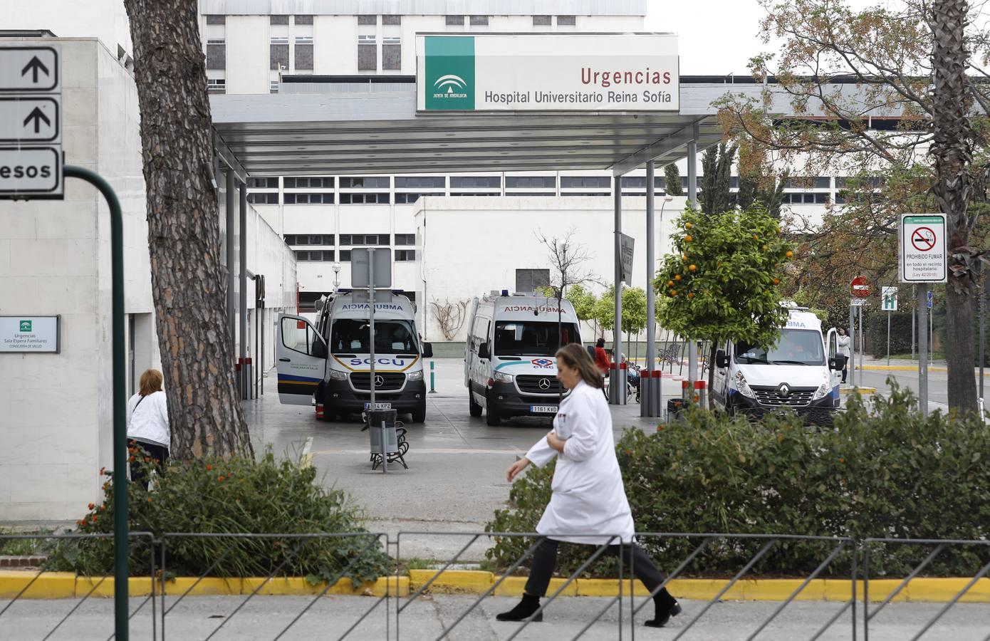 En imágenes, Córdoba se prepara para hacer frente al coronavirus