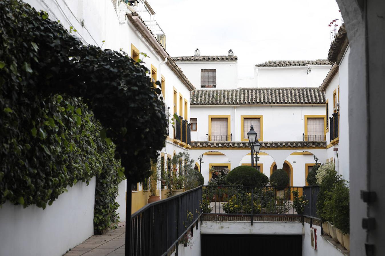 La calle Encarnación de Córdoba, en imágenes