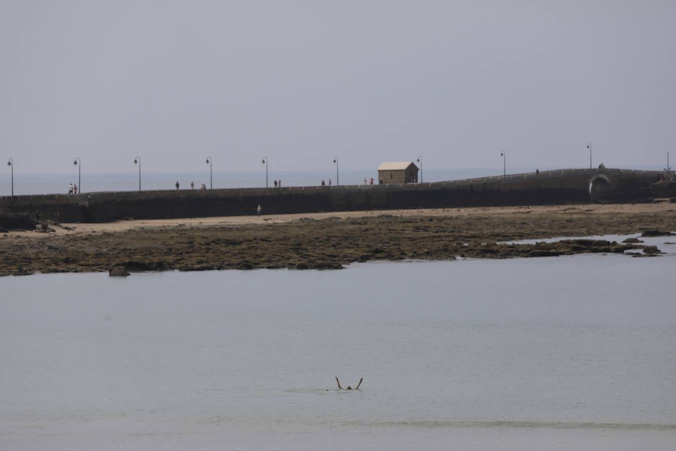 FOTOS: Cádiz afronta el estado de alarma