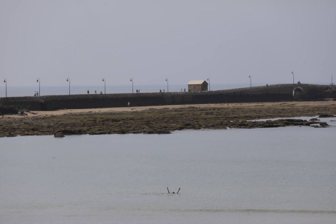 FOTOS: Cádiz afronta el estado de alarma