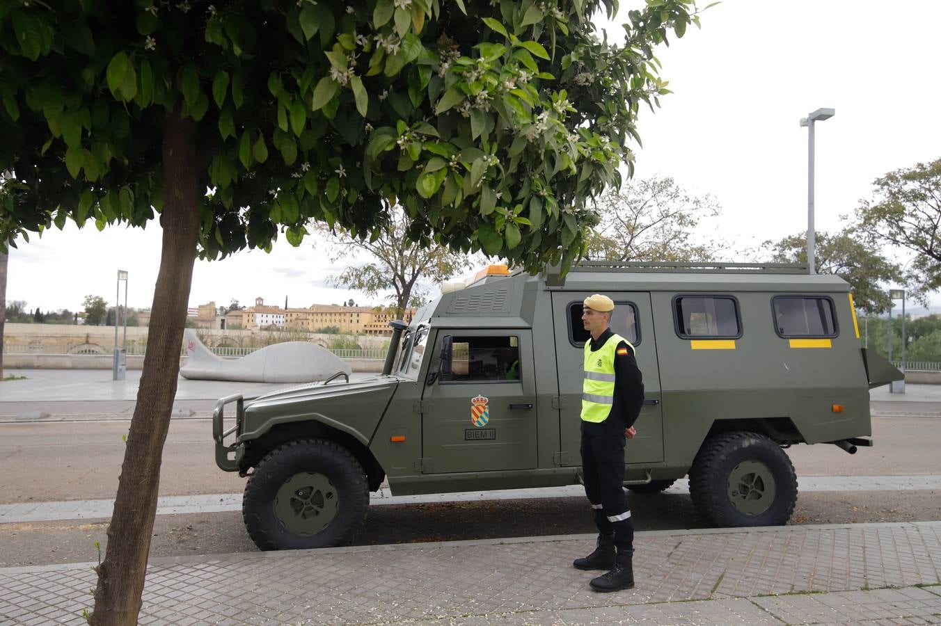 El despliegue de la UME en las arterias y monumentos de Córdoba, en imágenes