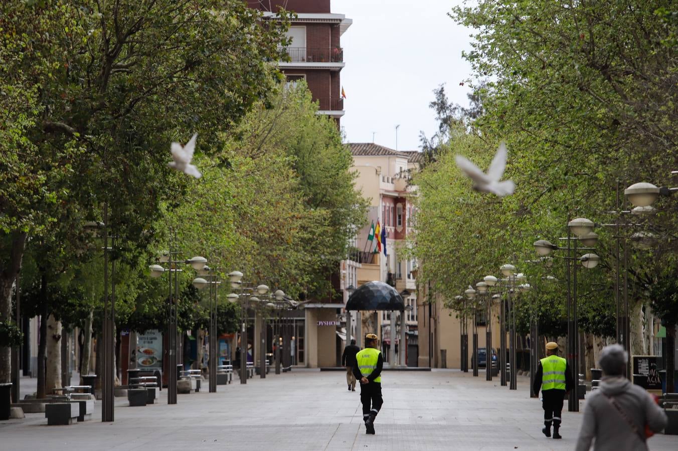 El despliegue de la UME en las arterias y monumentos de Córdoba, en imágenes