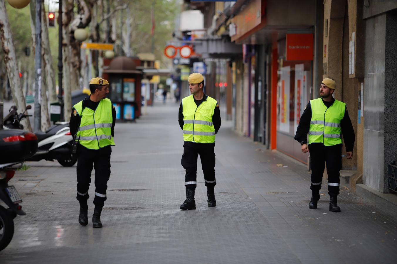 El despliegue de la UME en las arterias y monumentos de Córdoba, en imágenes