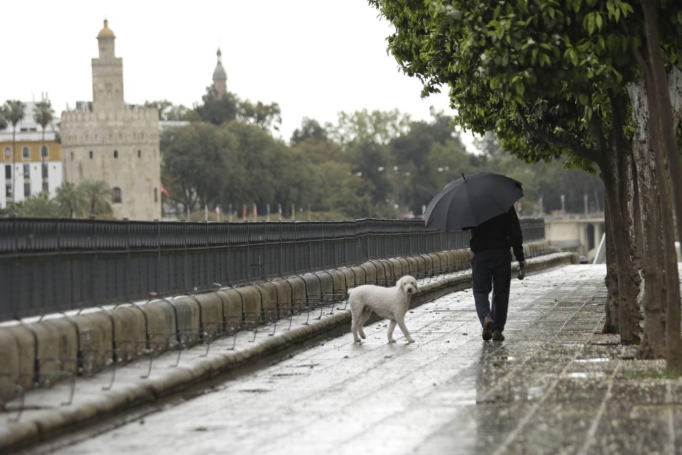 El coronavirus convierte a Sevilla en una ciudad fantasma