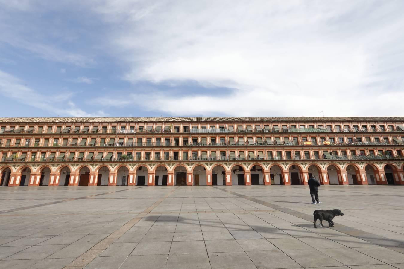 Las calles, mercados y quioscos de Córdoba con el coronavirus, en imágenes