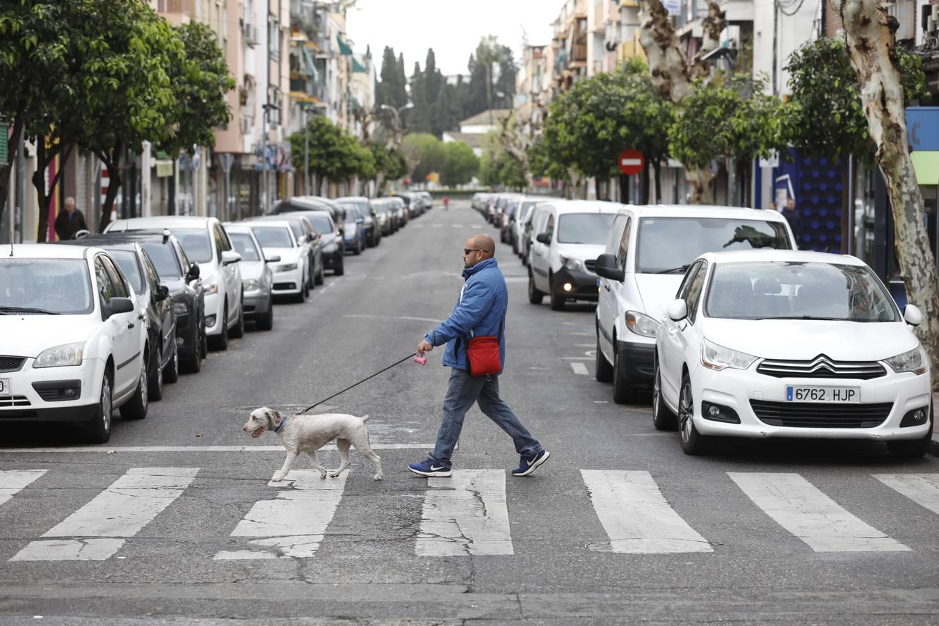 Las calles, mercados y quioscos de Córdoba con el coronavirus, en imágenes