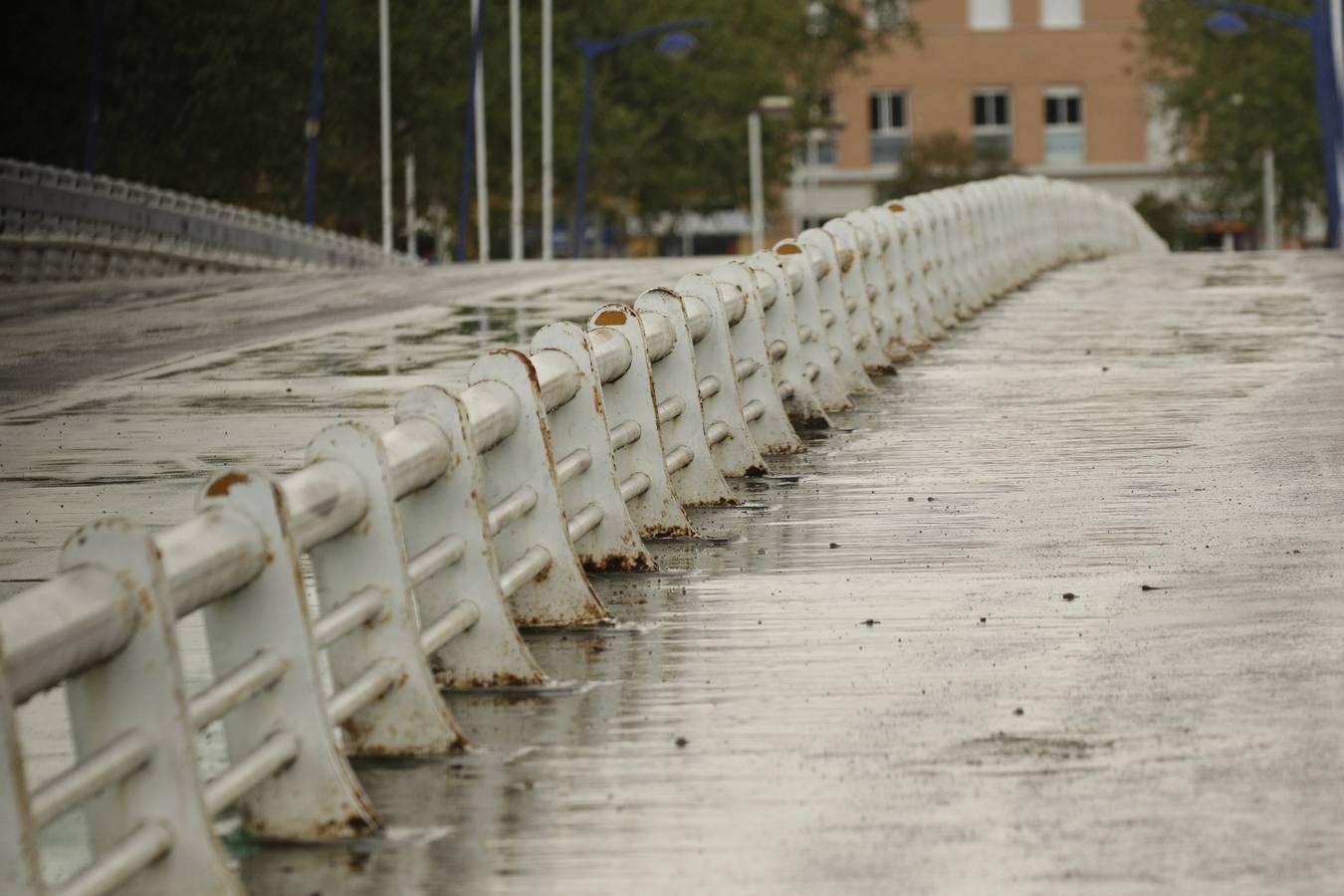 Coronavirus en Sevilla: puentes a ninguna parte