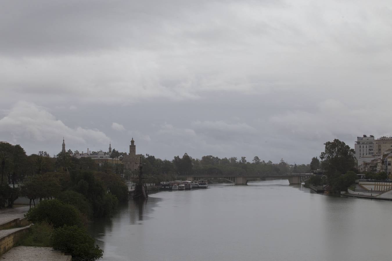 En imágenes, el coronavirus y la lluvia traen una estampa fantasmal de Sevilla