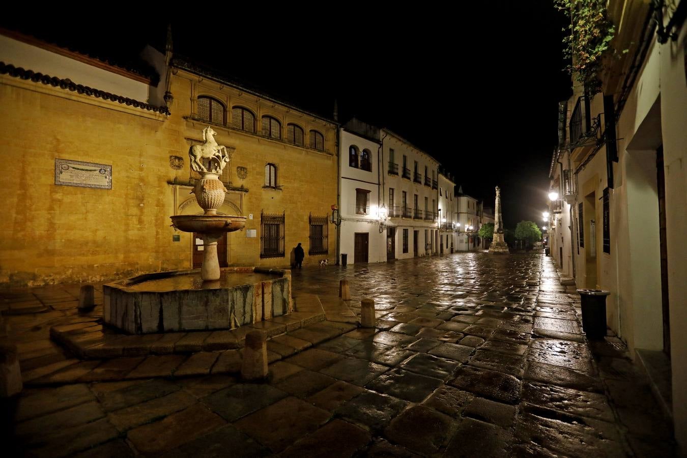 La Córdoba nocturna del coronavirus, en imágenes