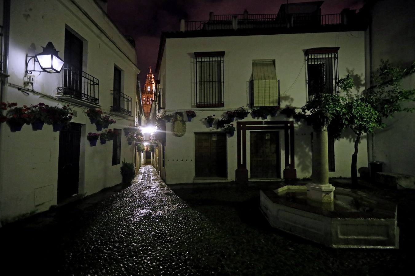 La Córdoba nocturna del coronavirus, en imágenes