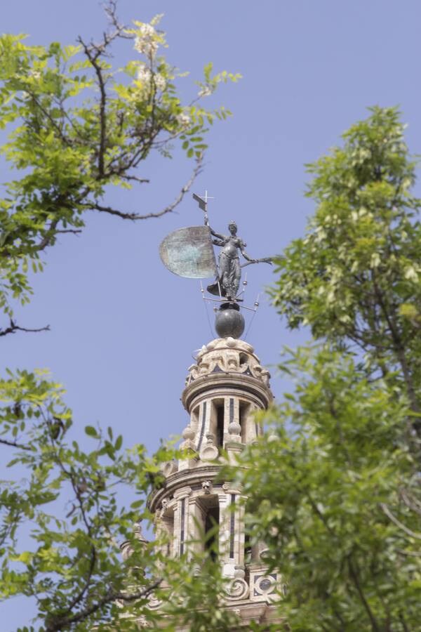 Coronavirus en Sevilla: la primavera brota tras los cristales
