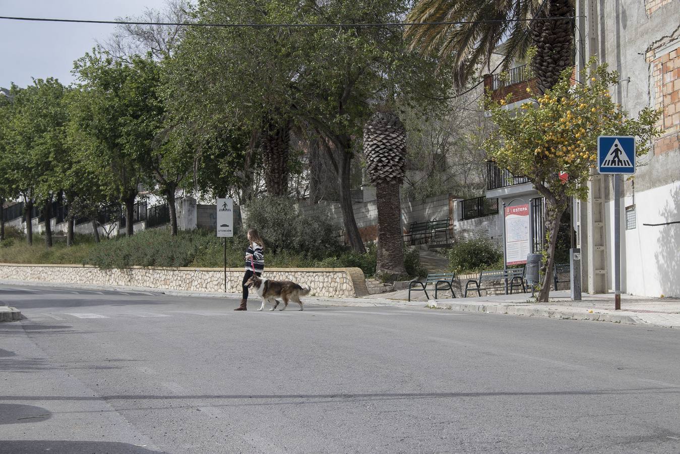 Coronavirus en Sevilla: Estepa, una ciudad confinada