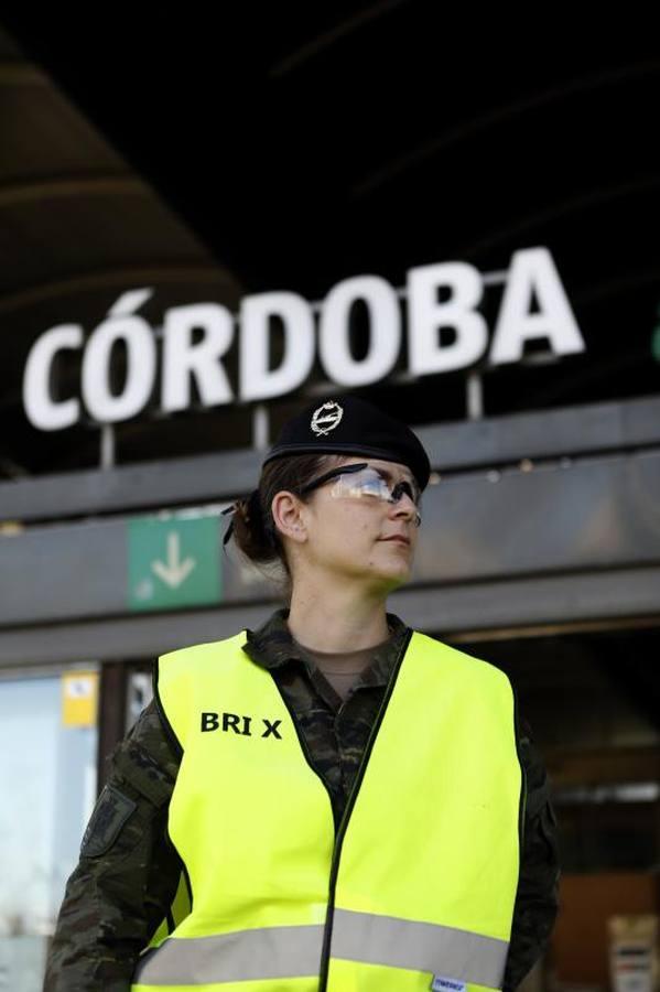 La «misión» de la Bri X contra el coronavirus en Córdoba, en imágenes