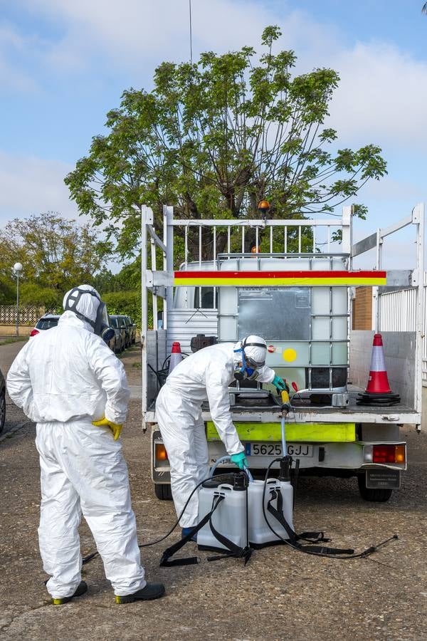 Coronavirus en Sevilla: así se vive el estado de alarma en las calles de Espartinas