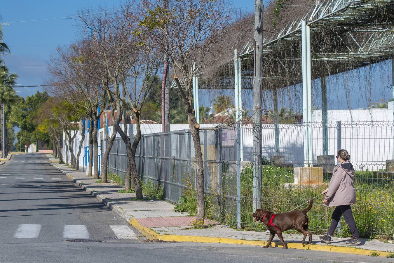 Coronavirus en Sevilla: así se vive el estado de alarma en las calles de Espartinas