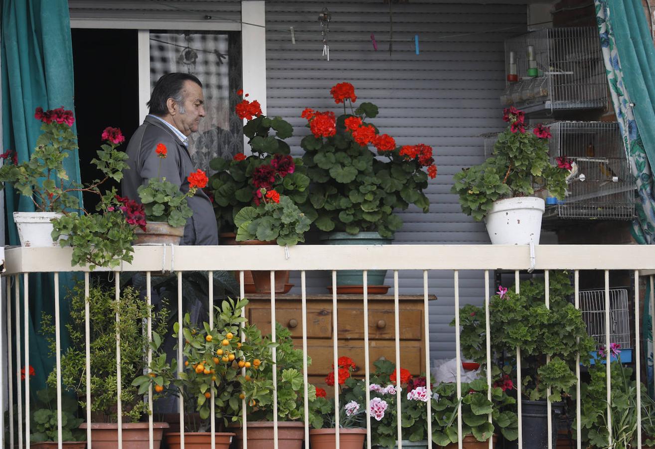 La vida en los balcones de Córdoba durante el confinamiento, en imágenes