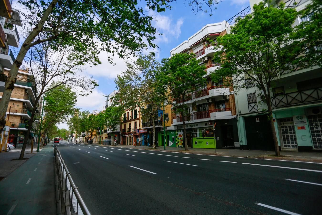 Coronavirus en Sevilla: así se vive en la Macarena el estado de alarma