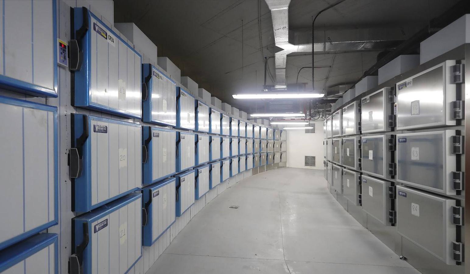 En imágenes: Así se ha preparado la morgue de la Ciudad de la Justicia