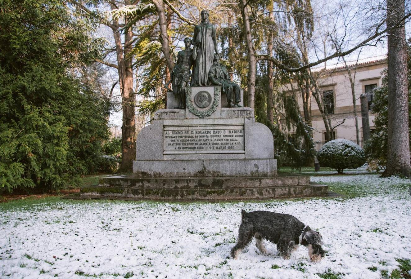 Nieve en Vitoria. 