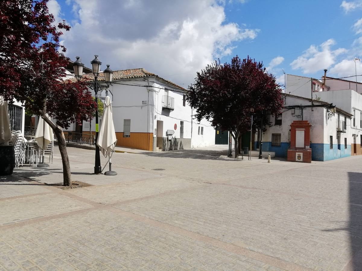 Coronavirus en Sevilla: Alanís, ofrece servicio de compras a domicilio a sus mayores