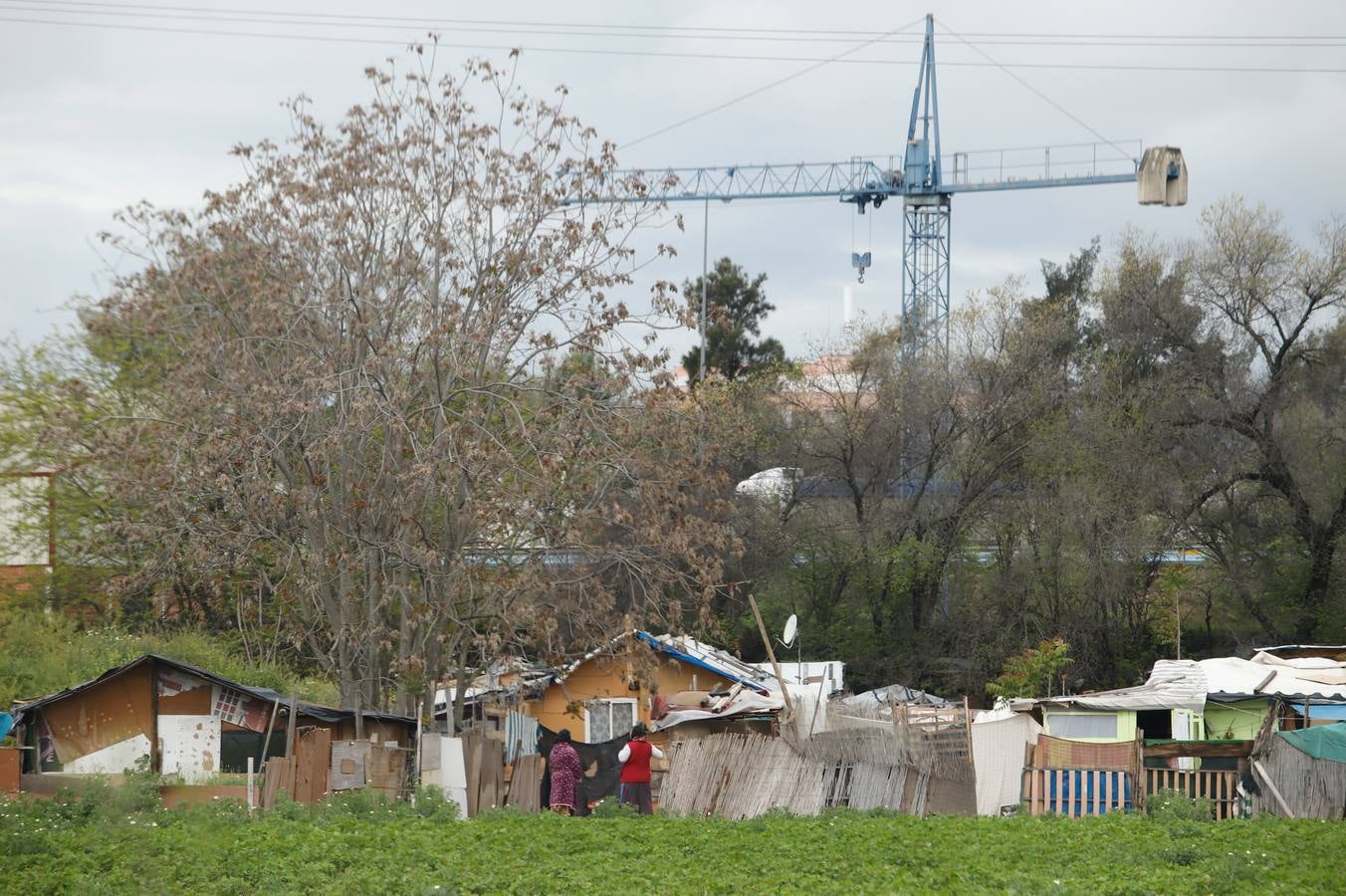 Así se vive el coronavirus en los asentamientos rumanos de Córdoba