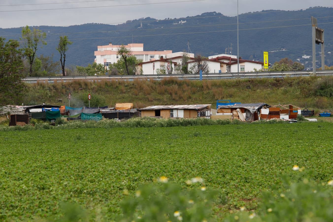 Así se vive el coronavirus en los asentamientos rumanos de Córdoba