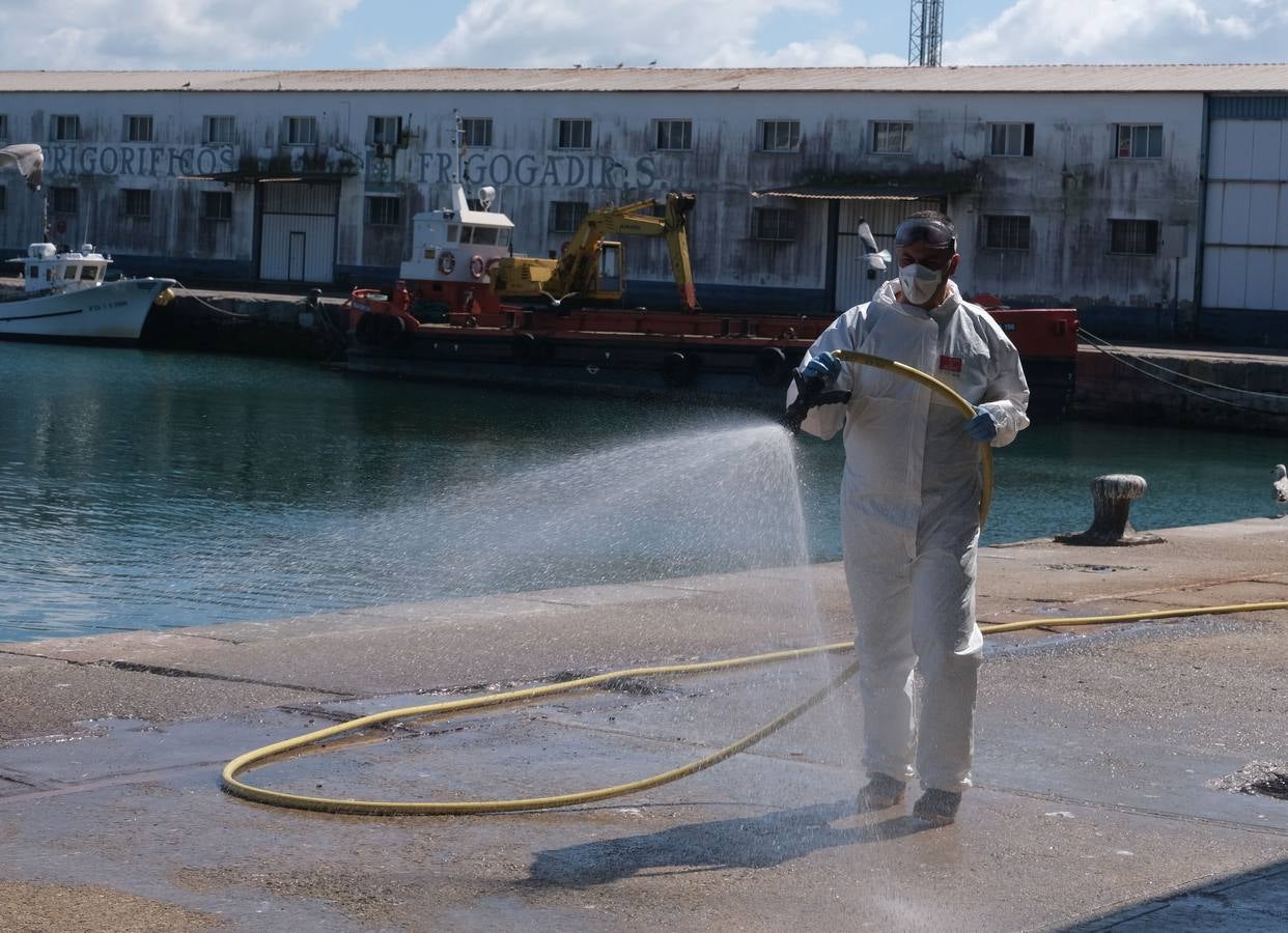 Los militares desinfectan infraestructuras claves de Cádiz capital