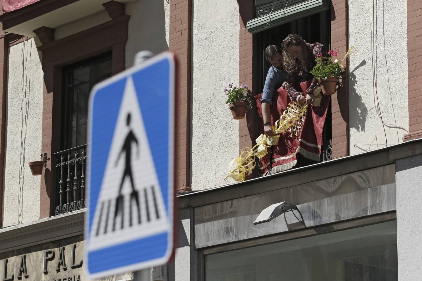 Semana Santa de Sevilla 2020: Un Domingo de Ramos desde los balcones