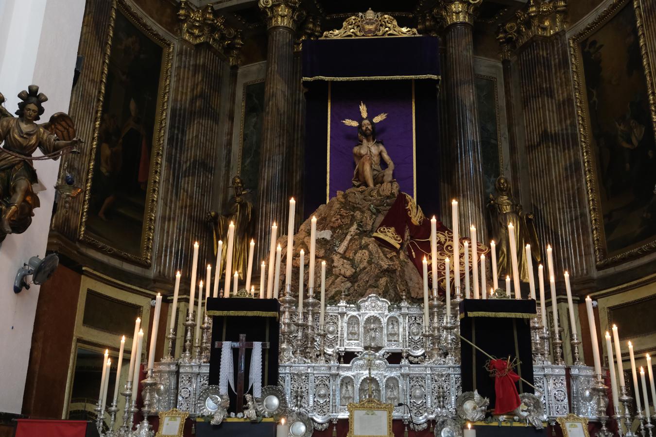 FOTOS | Un Domingo de Ramos atípico en Cádiz