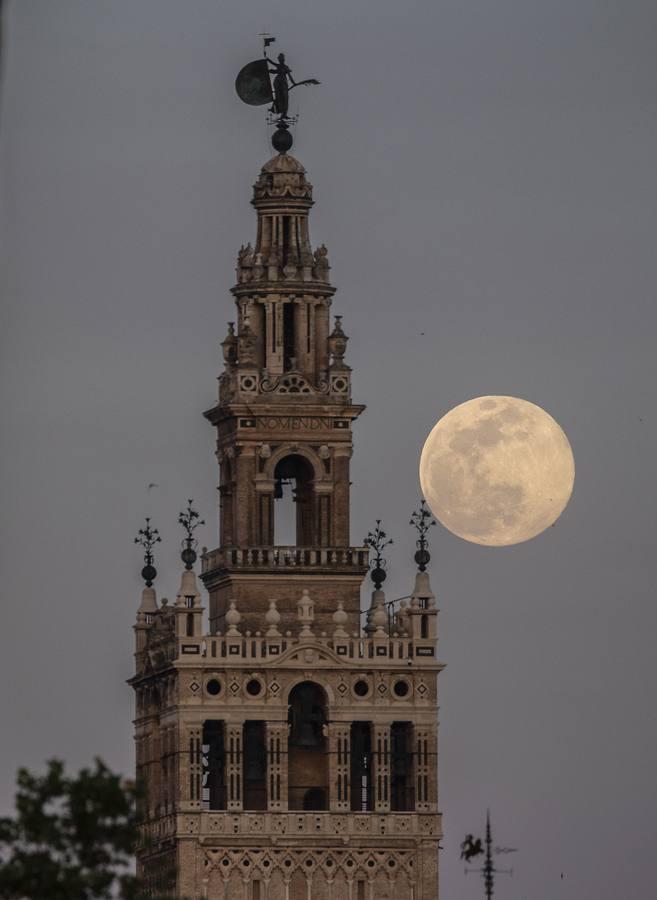 La luna tiñe de rosa las noches de Sevilla