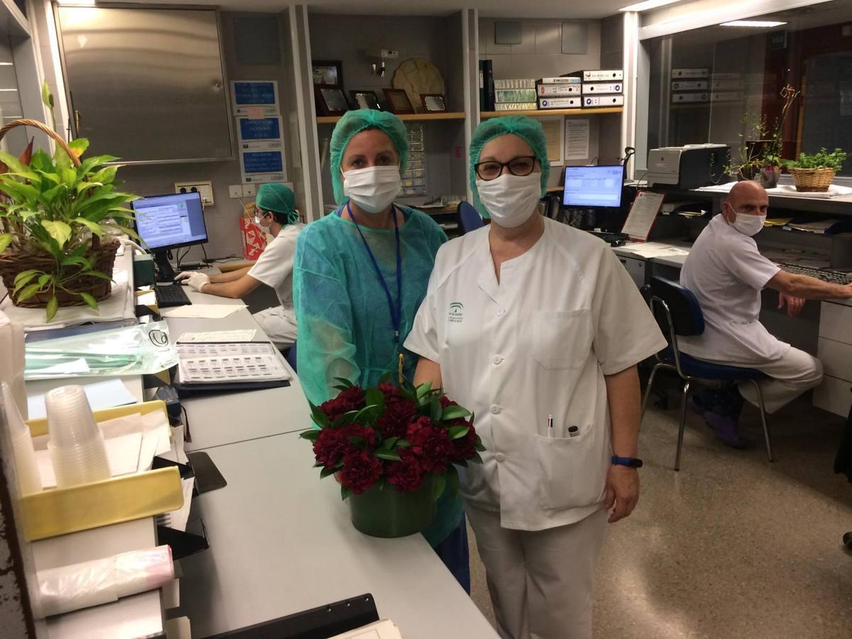 Ofrenda de flores del Baratillo a los hospitales