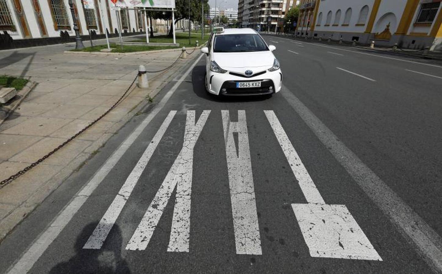 Las quejas del taxi de Córdoba, en imágenes