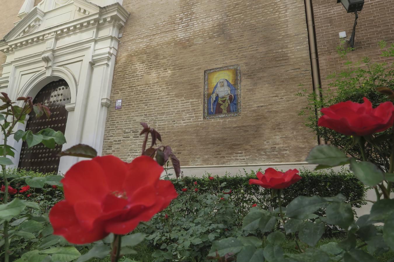 Imágenes de la Semana Santa de Sevilla de 2020: Cristo de Burgos