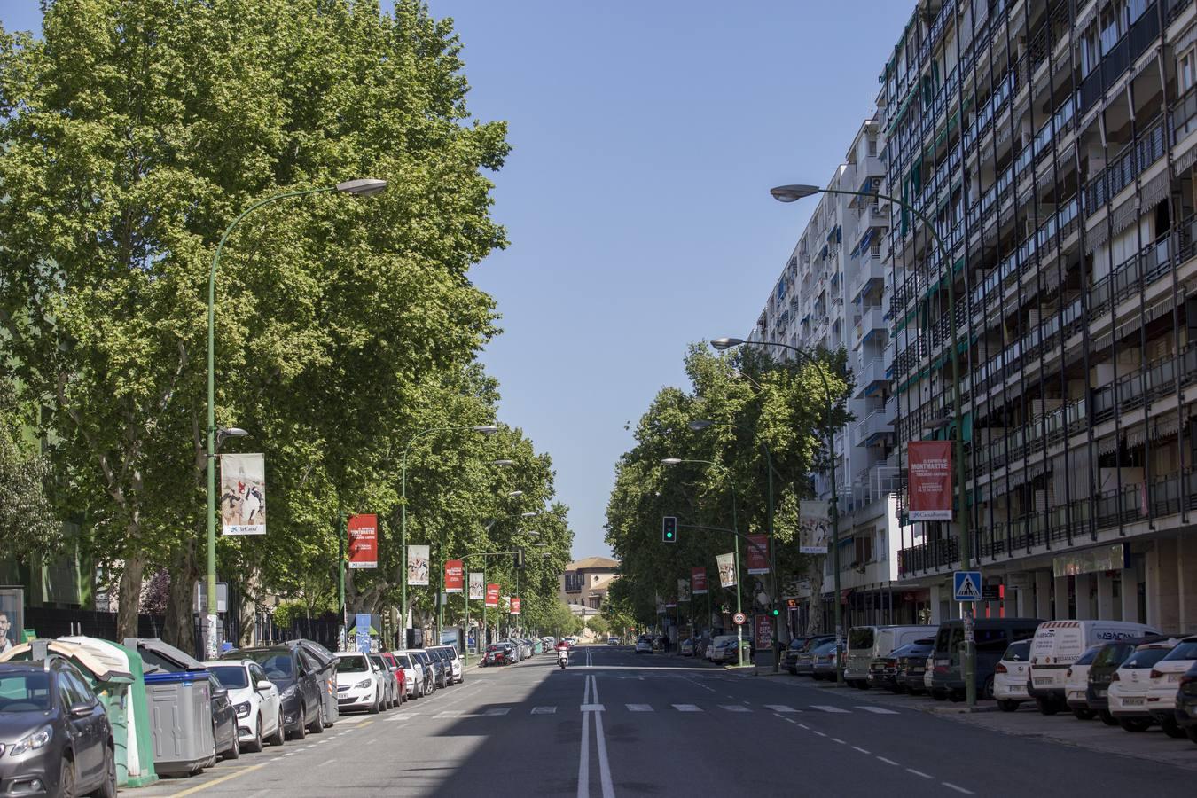 Coronavirus en Sevilla: Así se vive durante el confinamiento en Reina Mercedes