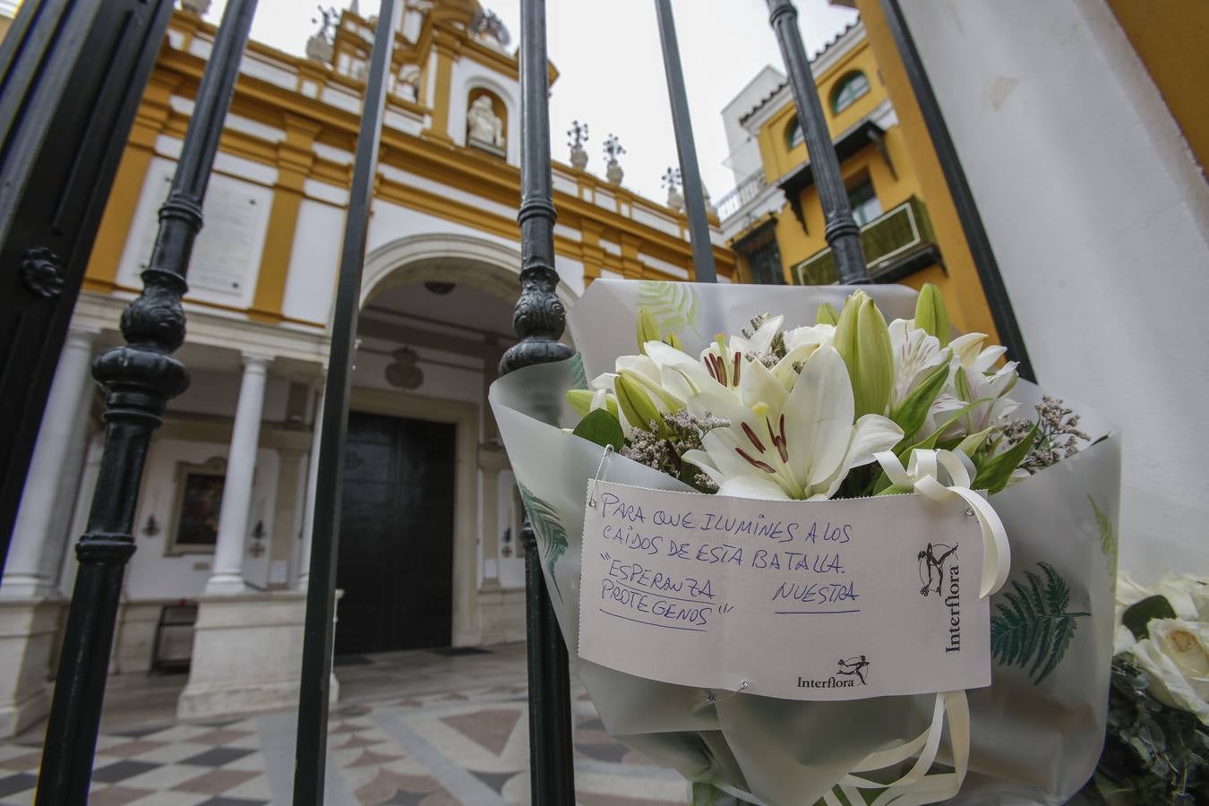 Imágenes de la Semana Santa de Sevilla de 2020: La Macarena