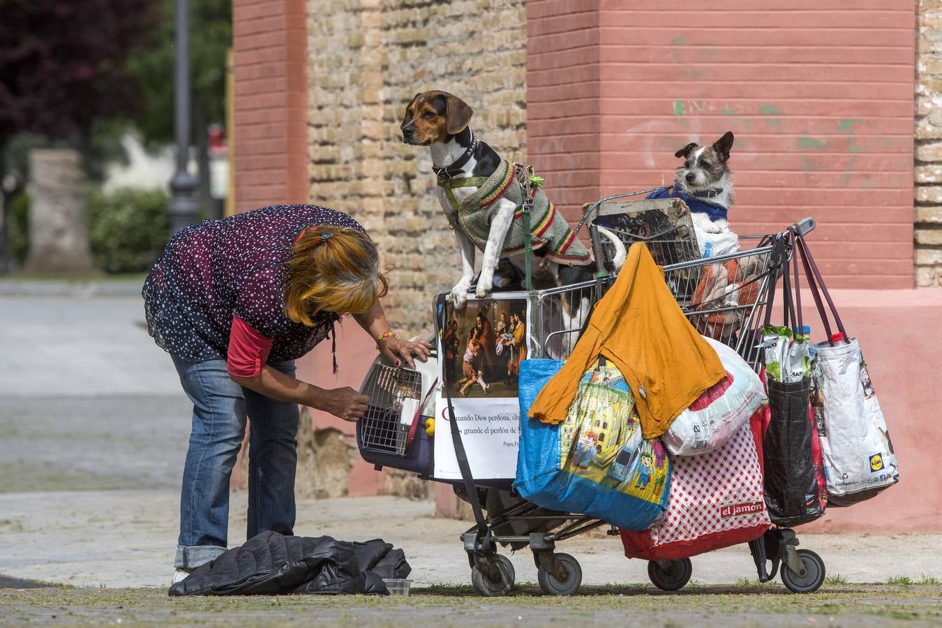 Viernes Santo. El Cachorro. Una indigente sin hogar preocupándose, por encima de su situación, de cuidar con cariño y atender a sus animales antes que a ella misma.