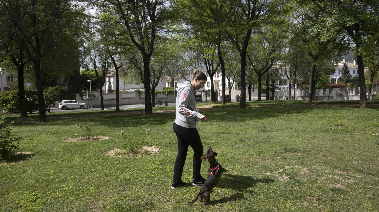 Coronavirus en Córdoba | El barrio del Patriarca durante el confinamiento, en imágenes