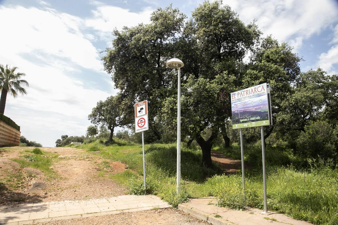 Coronavirus en Córdoba | El barrio del Patriarca durante el confinamiento, en imágenes