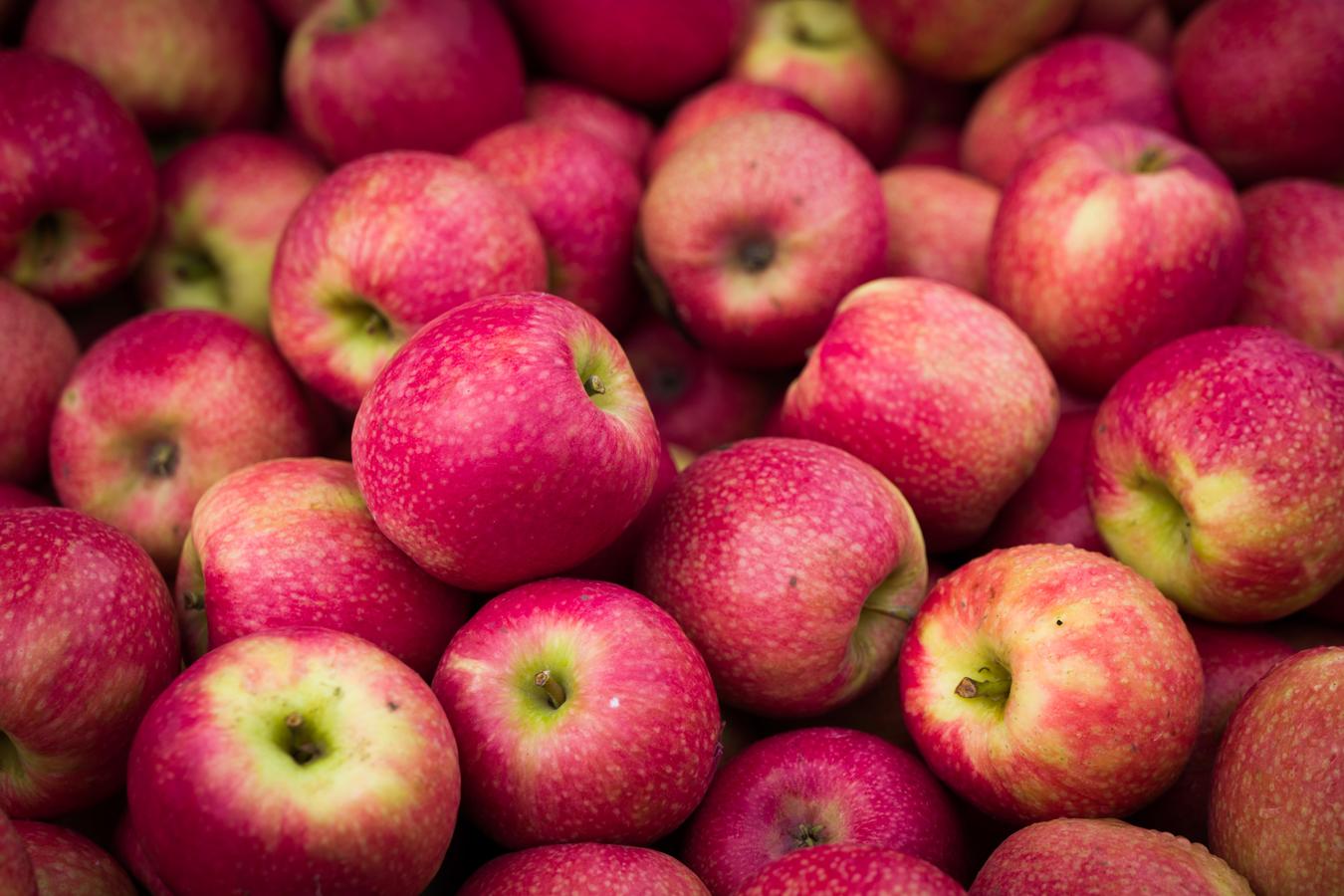 Manzanas. Las <a href="https://www.abc.es/bienestar/alimentacion/abci-manzana-201909301304_noticia.html" target="_blank">manzanas </a>son una de las fruta con más fibra: 2 gramos por cada 100 gramos de porción comestible. Contienen pectinas que es una fibra soluble que aumenta el volumen de las heces y mejora el tránsito intestinal.