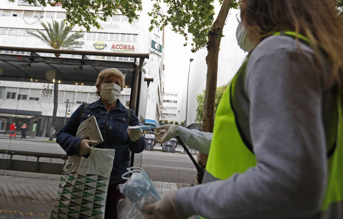 El reparto de mascarillas en Córdoba, en imágenes