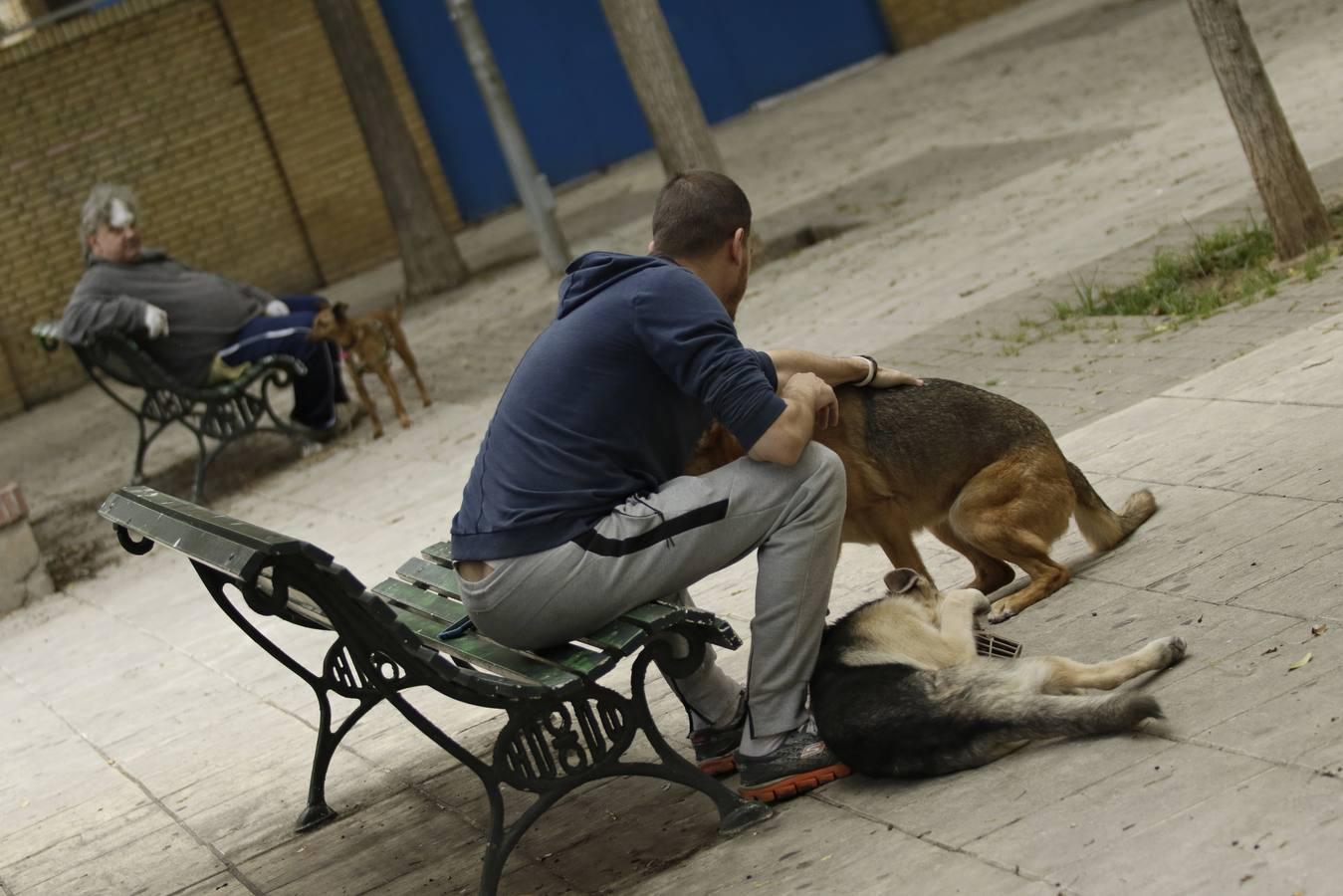 Así se vive en El Fontanal y La Rosaleda