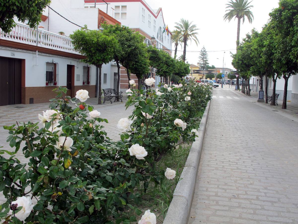 Coronavirus en Sevilla: así se vive en El Cuervo durante el estado de alarma
