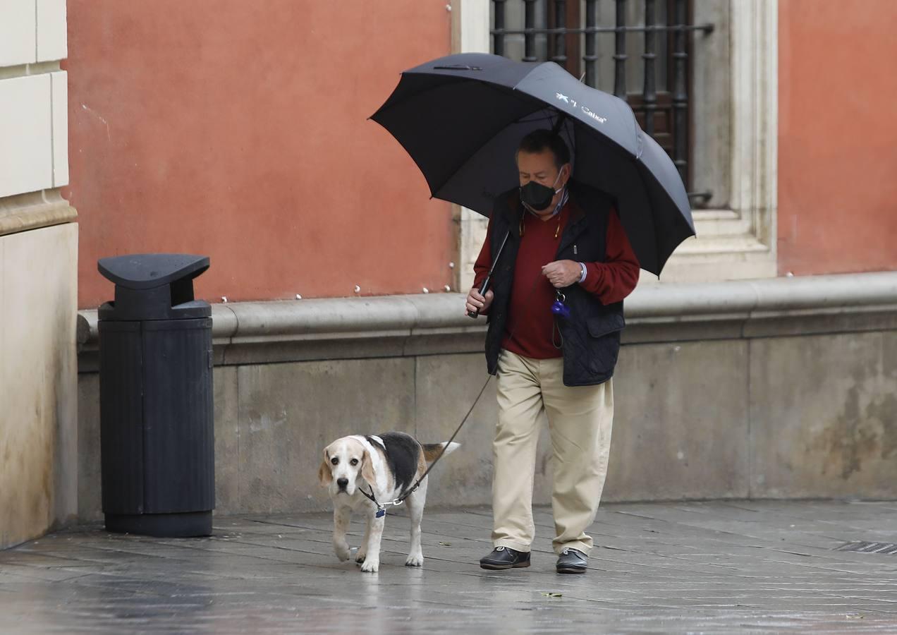 La Sevilla vaciada