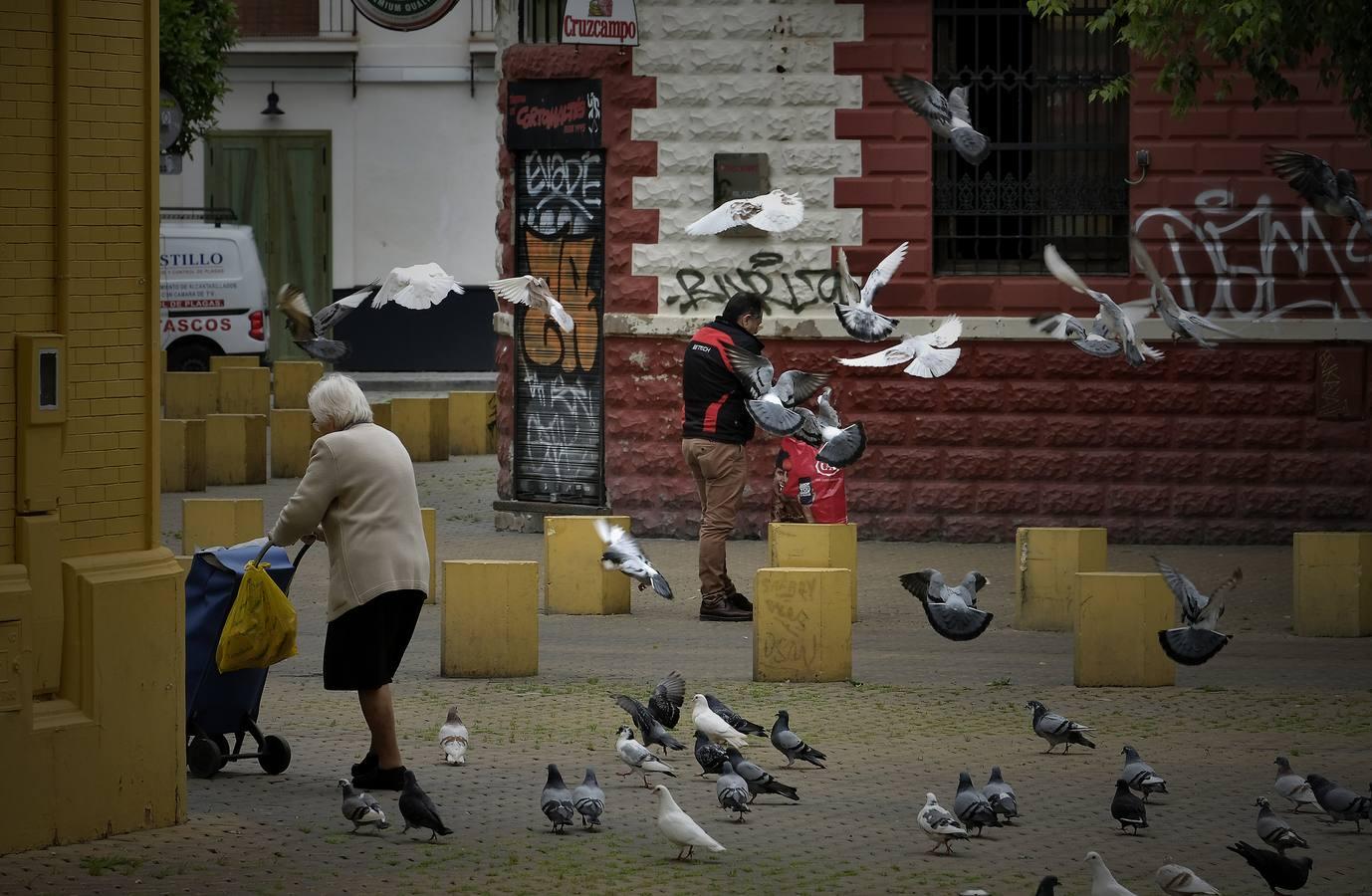 Pasea por Sevilla sin salir de casa